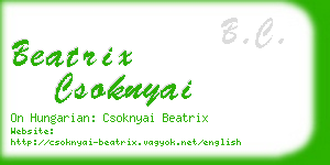 beatrix csoknyai business card